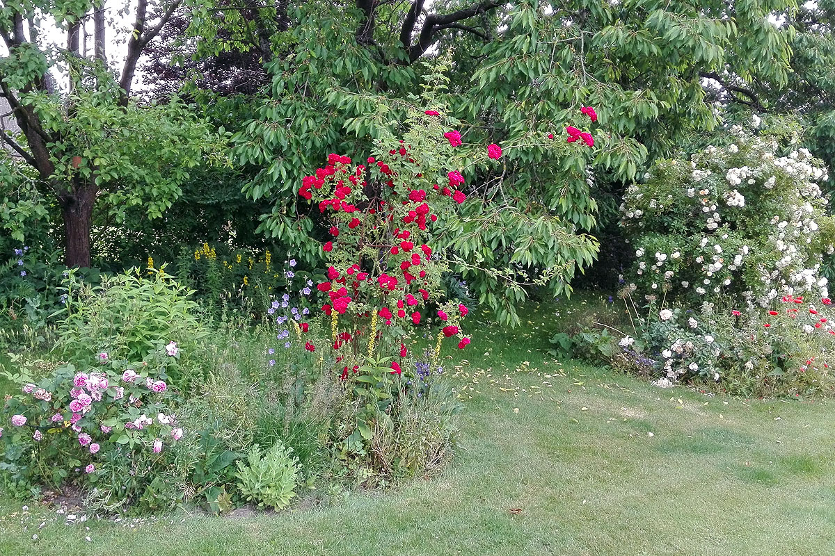 Garten