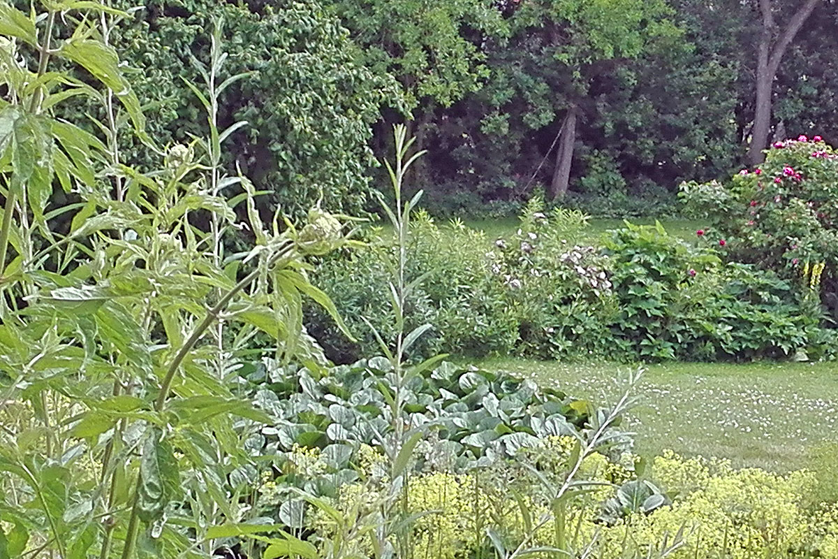 Garten